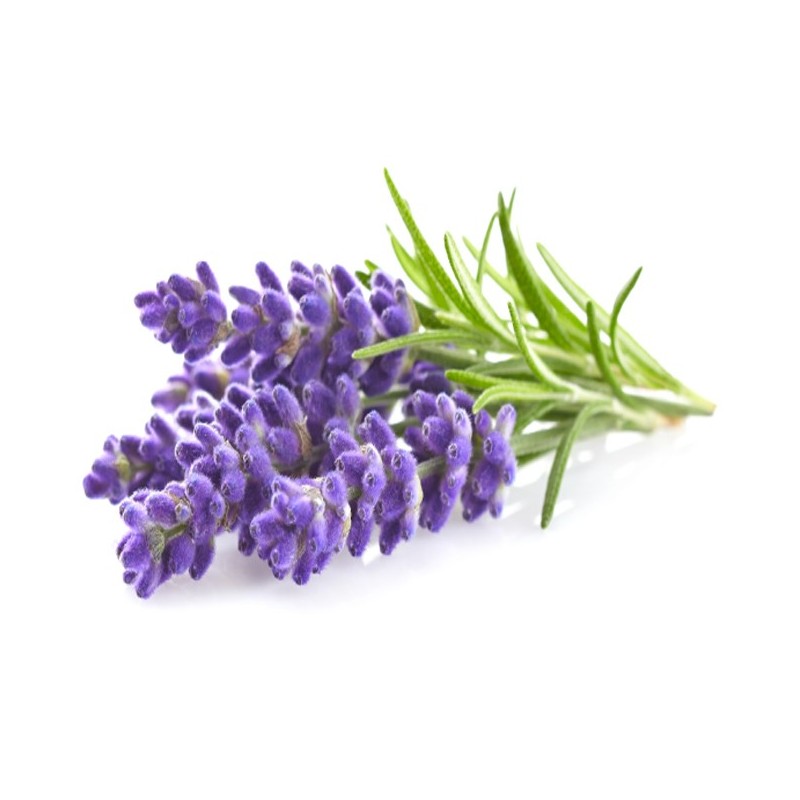 Aceite Esencial de Lavanda Orgánico